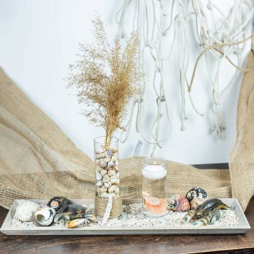 Floristik24 Decoratieve krab en kreeft 11cm - 15cm