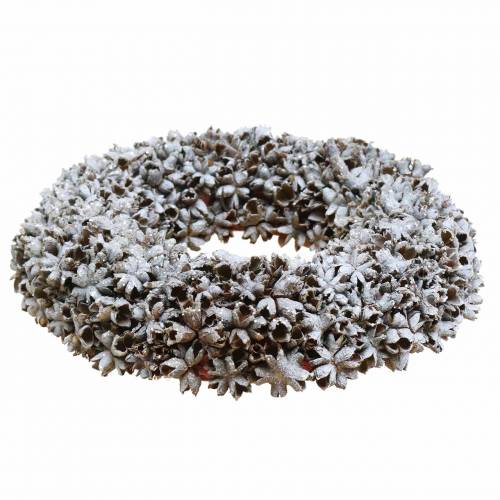 Floristik24 Decoratieve krans steranijs met glitter gewassen wit Ø20cm