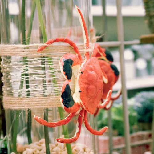 Floristik24 Deco Kreeft Rood 25cm