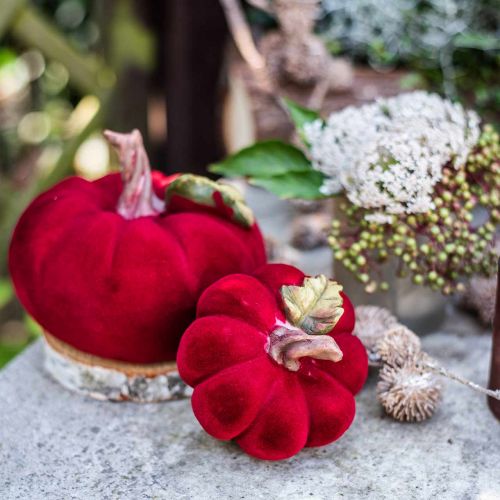 Floristik24 Deco pompoen rood tafeldecoratie herfst polyresin 10,5×9cm 2st