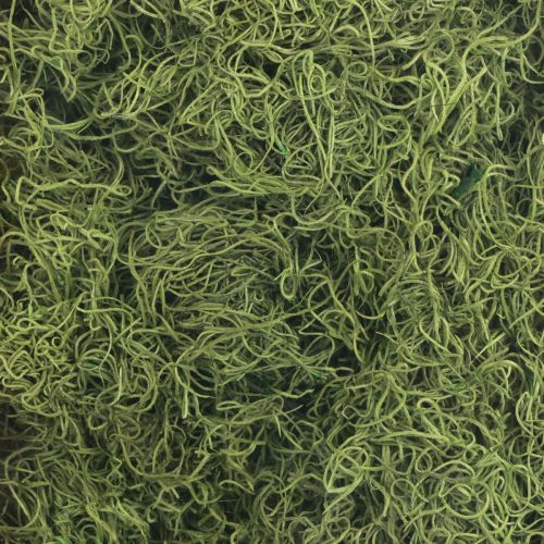 Artikel Decoratief mos gedroogd bosmosgroen natuurlijke decoratie 300g