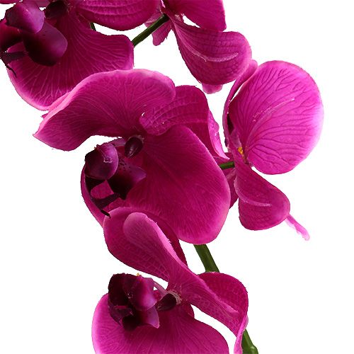 Floristik24 Decoratieve orchidee roze L77cm