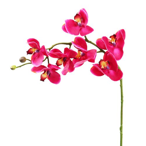 Floristik24 Kunst orchidee fuchsia 77cm