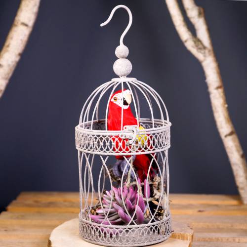 Floristik24 Decoratie papegaai rood 44cm