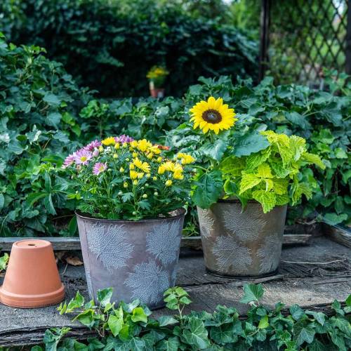 Floristik24 Decoratieve pot met bladeren zink metallic grijs, oranje, bruin Ø26cmH22cm 3st