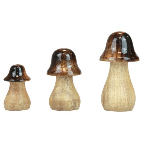 Floristik24 Decoratieve paddestoelen houten paddestoelen bruin glanseffect herfstdecoratie H6/8/10cm