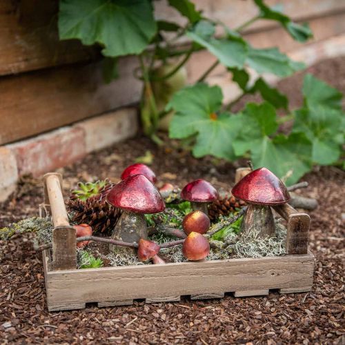 Floristik24 Deco paddestoelen glas rood vintage herfst decoratie Ø9cm H13.5cm 2st