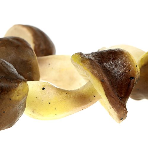 Floristik24 Decoratieve paddenstoelen in het net 5-8cm assorti. bruin 8st