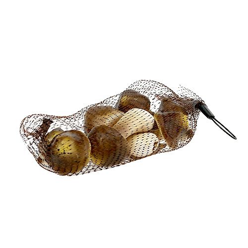 Floristik24 Decoratieve paddenstoelen in het net 5-8cm assorti. bruin 8st