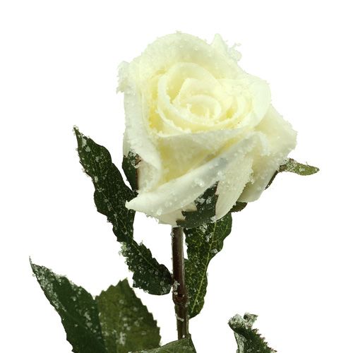 Artikel Decoratieve roos wit besneeuwd Ø6cm 6st