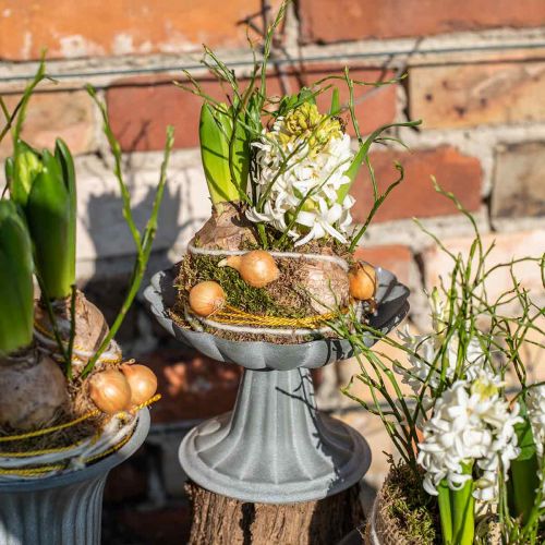 Floristik24 Decoratieve schaal met voet metalen schaal vintage H12cm Ø17cm