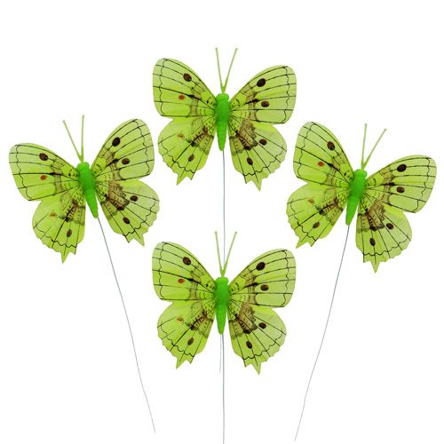 Floristik24 Decoratieve vlinders groen 8cm 6st