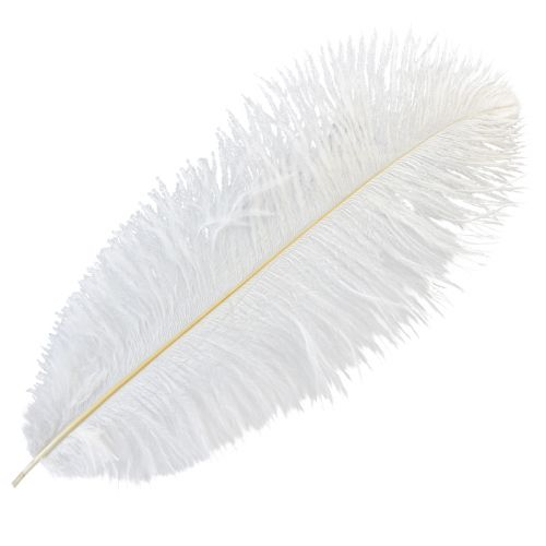 Struisvogelveren Exotische Decoratie Witte Veren 32-35cm 4 st