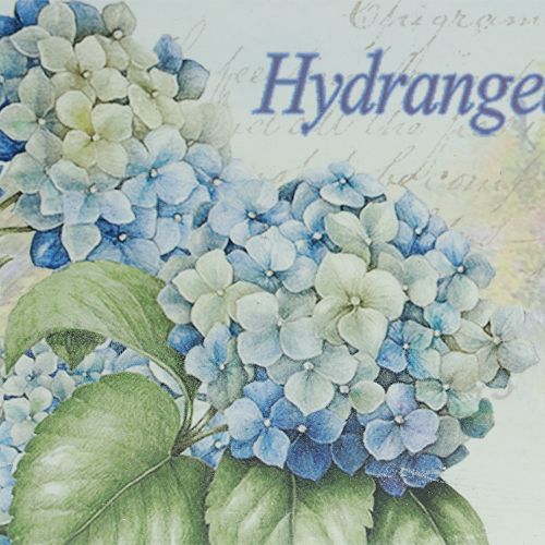 Artikel Decoratief dienblad hortensia&#39;s kunststof dienblad wit 39×27,5cm