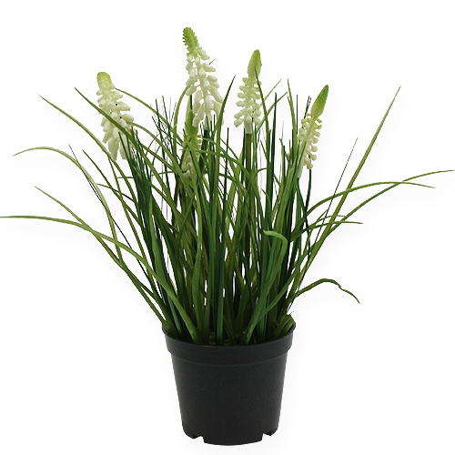 Deco druif hyacint crème in pot 26cm