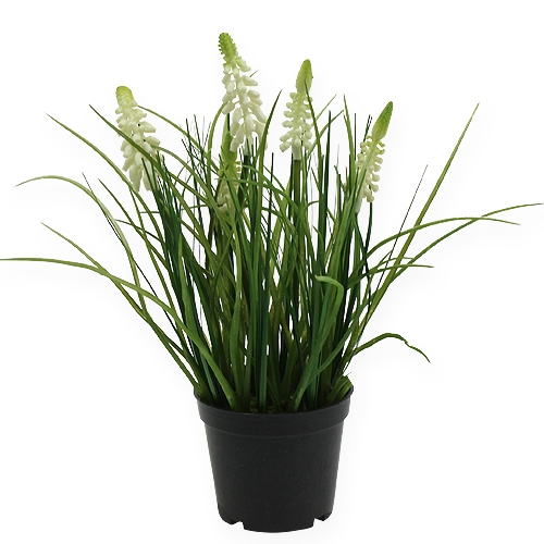 Floristik24 Deco druif hyacint crème in pot 26cm