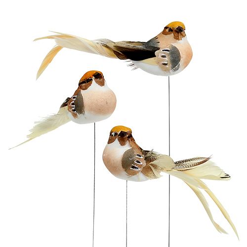 Floristik24 Decoratieve vogel op draad bruin 15cm 9st
