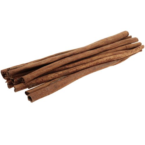 Floristik24 Decoratie kaneelstokjes in een bosje Kaneel Kerstdecoratie 40cm 500g