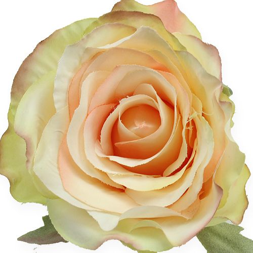 Floristik24 Kunstroosjes Ø9cm 6st