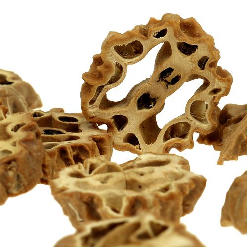 Floristik24 Notenplakken 2cm naturel 250g