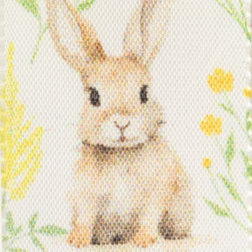 Artikel Cadeaulint met paashaasmotief voor feestelijke verpakkingen, 15 meter