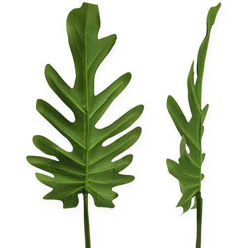 Floristik24 Decoratief blad Philodendron Groen B11cm L34cm 6st