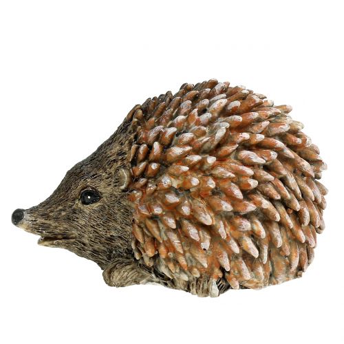 Floristik24 Decoratiefiguur egel bruin 6.5cm