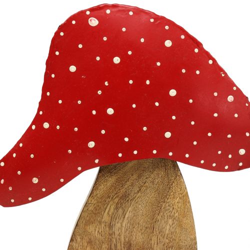 Artikel Deco figuur paddestoel natuur, rood 25cm