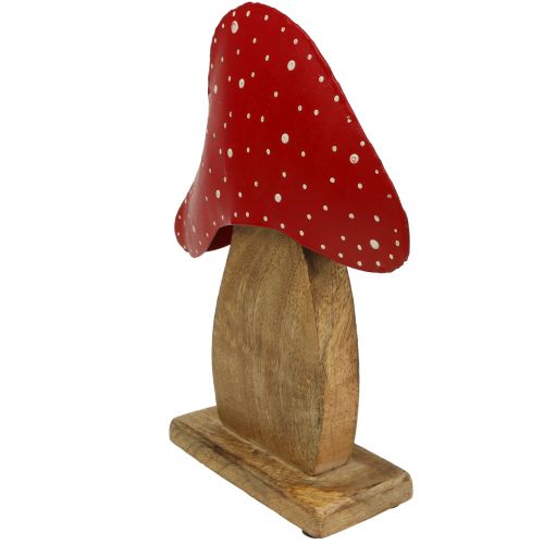 Floristik24 Deco figuur paddestoel natuur, rood 25cm