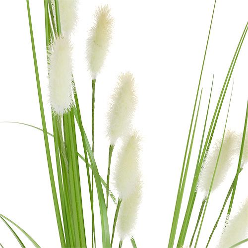 Floristik24 Decoratief grasgroen L85cm