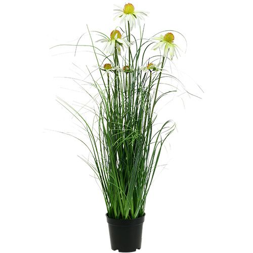 Floristik24 Decoratiegras met kamille in pot Kunstmatig 66cm