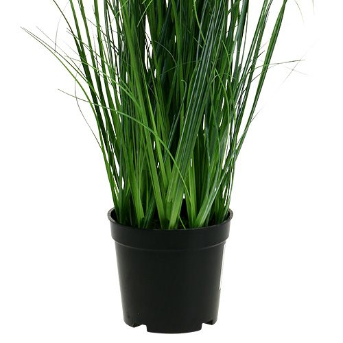 Floristik24 Decoratiegras met kamille in pot Kunstmatig 66cm