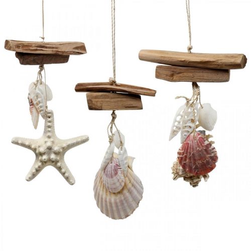 Floristik24 Deco hanger maritiem hangdecoratie schelpen zeester 27cm 3st