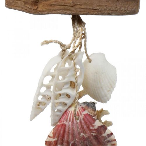 Floristik24 Deco hanger maritiem hangdecoratie schelpen zeester 27cm 3st