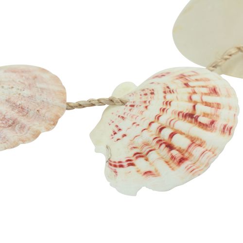 Artikel Decoratieve hanger maritieme schelpendecoratie naturel Ø5–10cm 70cm