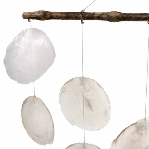 Artikel Maritieme deco hanger schelp windgong op drijfhout tak L65cm