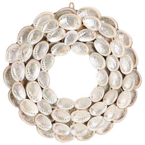 Artikel Decoratieve krans hout abalone slakken wit naturel H30cm