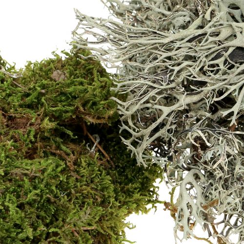 Artikel Decoratieve mosmix naturel, groen 500g