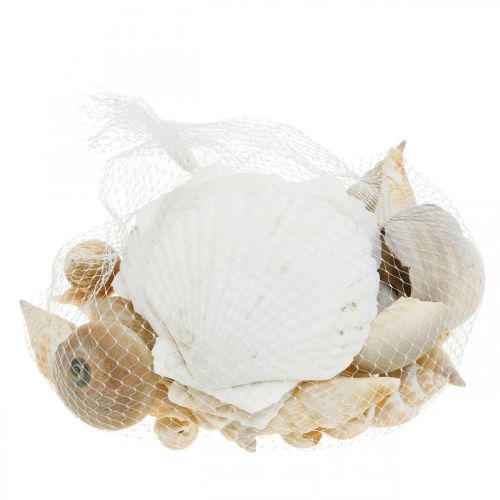 Artikel Decoratieve slakkenhuizen Zeeslakken natuur Maritieme decoratie 350g