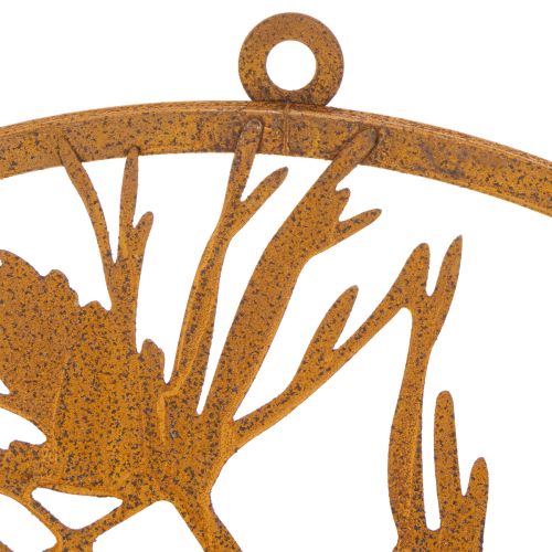 Decoratieve metalen ring, wanddecoratie van verweerd staal, dennentak, Ø38cm | Floristik24.nl