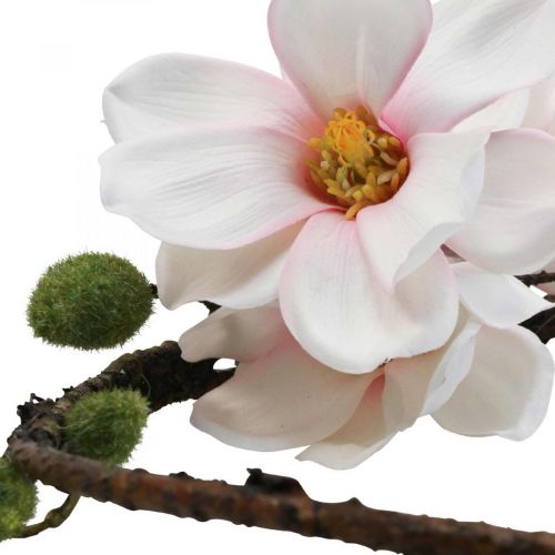 Floristik24 Sierring kunstmagnolia lentedecoratie om op te hangen Ø24cm