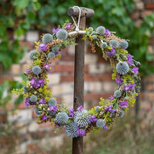Floristik24 Decoratieve ring om op te hangen, raamdecoratie, wanddecoratie natuurlijke kleuren Ø30cm 4st