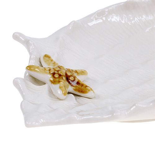 Floristik24 Decoratieve schaal met zeester 22cm