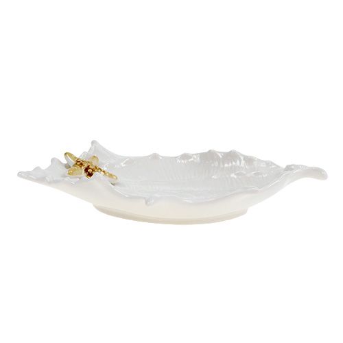 Floristik24 Decoratieve schaal met zeester 22cm