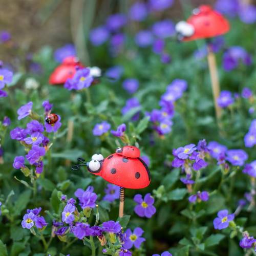 Artikel Sierpluggen lieveheersbeestje op stok hout rood, zwart 4cm x 2,5cm H23,5cm 16 stuks