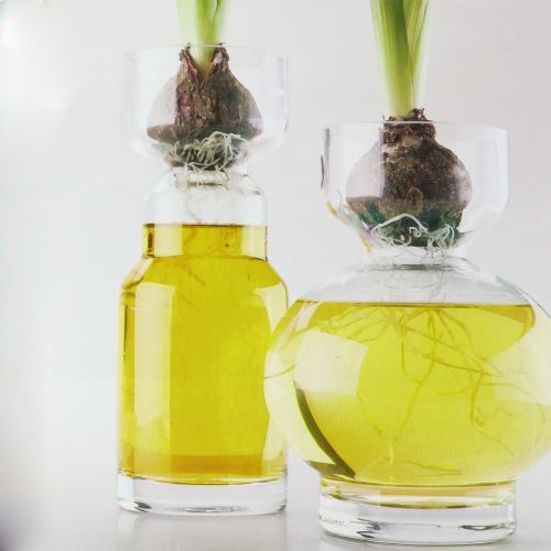 Floristik24 Decoratief watergeel 150ml