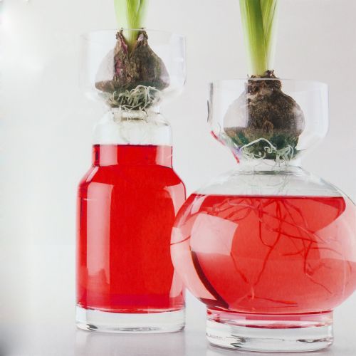 Floristik24 Decoratief water rood 150 ml