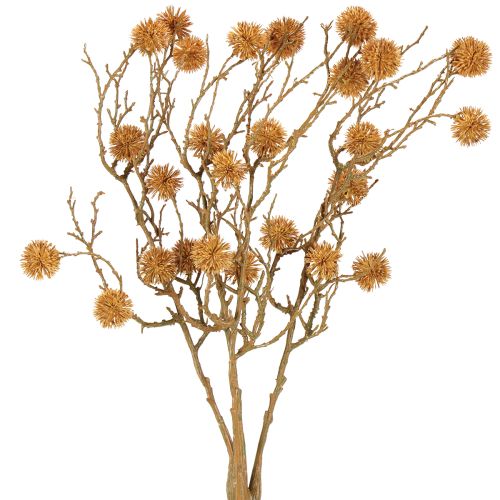 Floristik24 Decoratieve tak amberboom fruitdecoratie okerbruin 48cm