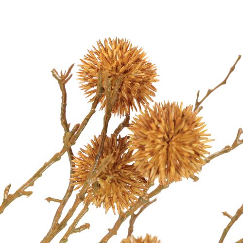 Artikel Decoratieve tak amberboom fruitdecoratie okerbruin 48cm