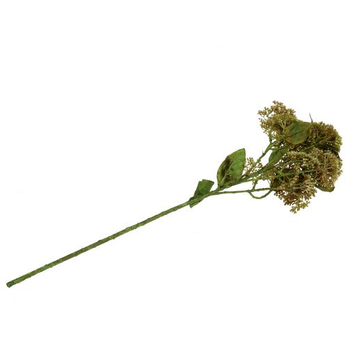 Floristik24 Decoratieve tak steenpeper groen 58cm